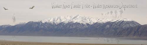 Walker Lake (Agi baa'a) & Mount Grant (koodaggwa)