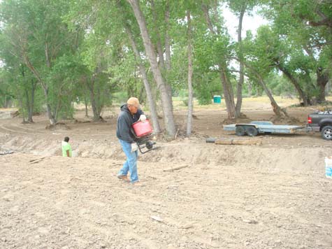 Seed Native Vegetation on Disturbed Areas
