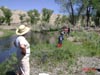 Bug Collecting