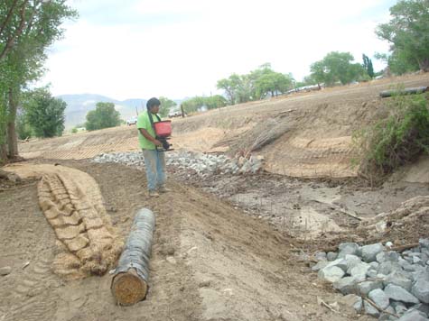 Seeding Native Vegetation in Channel