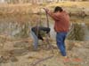 Planting Willow Poles by Rienstras