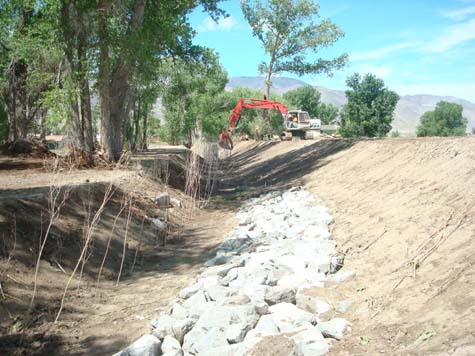 Willow Pole Planting